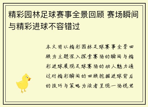 精彩园林足球赛事全景回顾 赛场瞬间与精彩进球不容错过