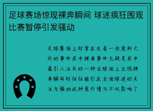 足球赛场惊现裸奔瞬间 球迷疯狂围观比赛暂停引发骚动