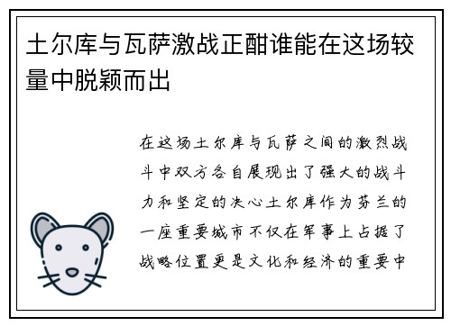 土尔库与瓦萨激战正酣谁能在这场较量中脱颖而出